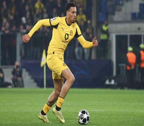 欧洲,犬类认同,现象引发认,金年会体育,金年会体育app,金年会体育官网,金年会体育下载,金年会体育入口